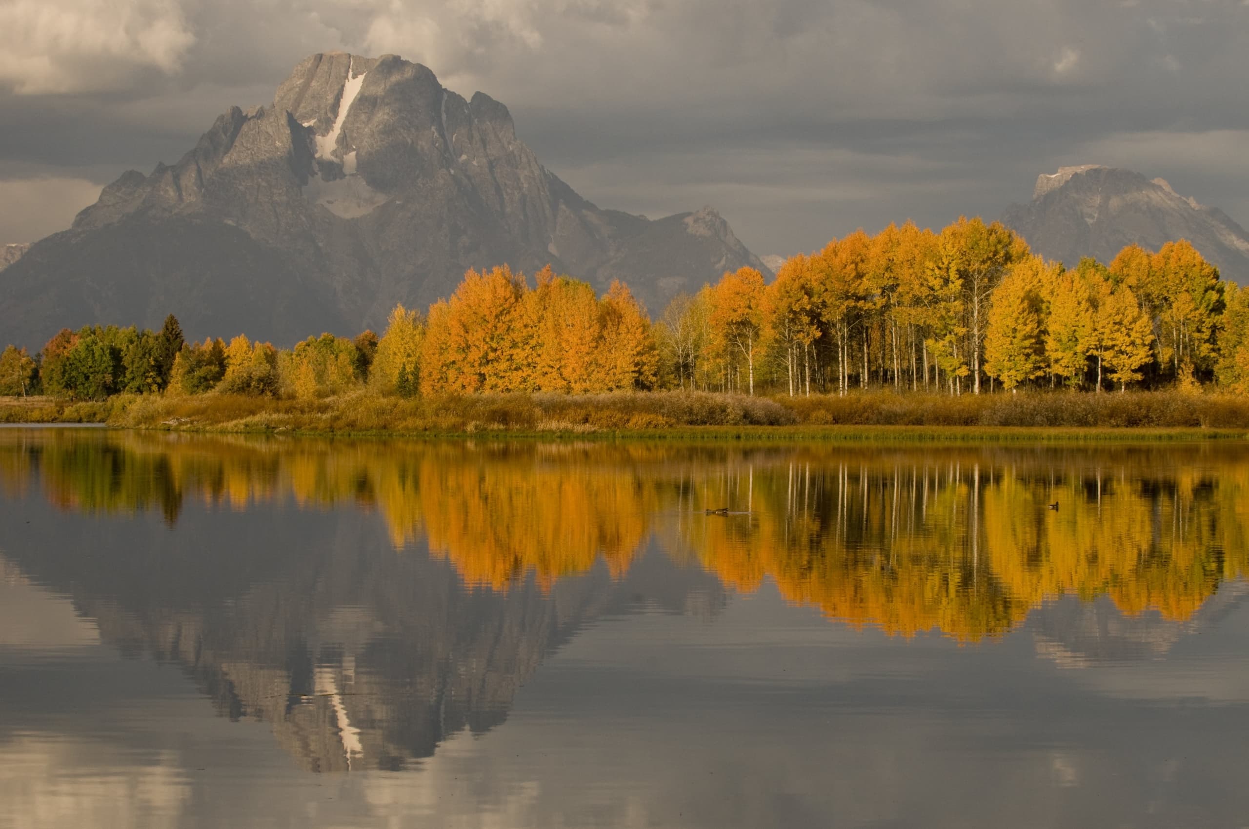 A lake with a row of trees with orange, yellow, and green leaves. with 2 giant mountains behind them. In Jackson Hole, Wyoming