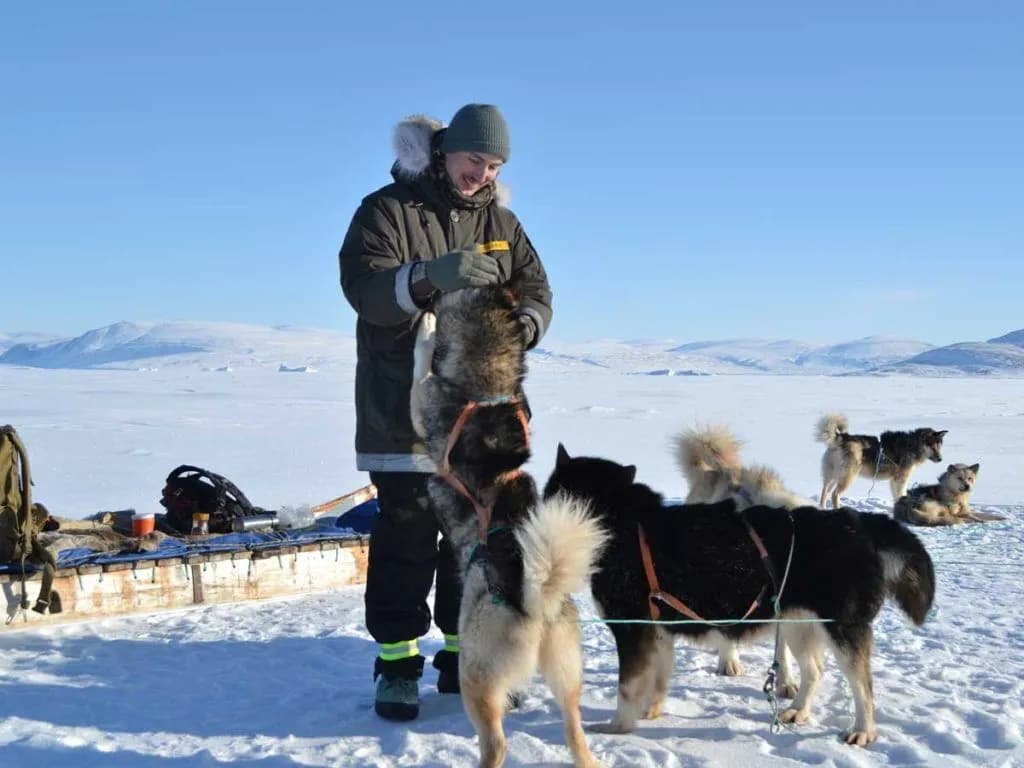 A guide pets a husky dog in a field of snow with their dog sled and pack of dogs stopped for a break in Wyoming.