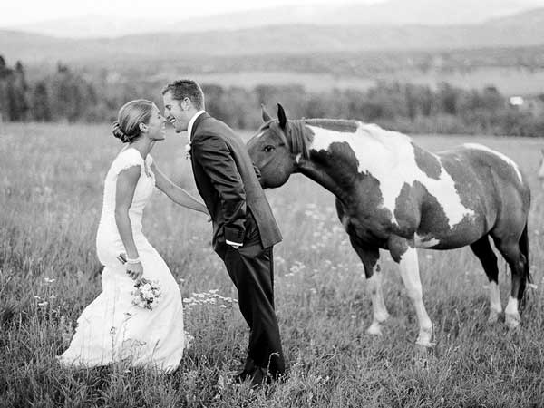 Bride And Groom In A Field With A Horse.