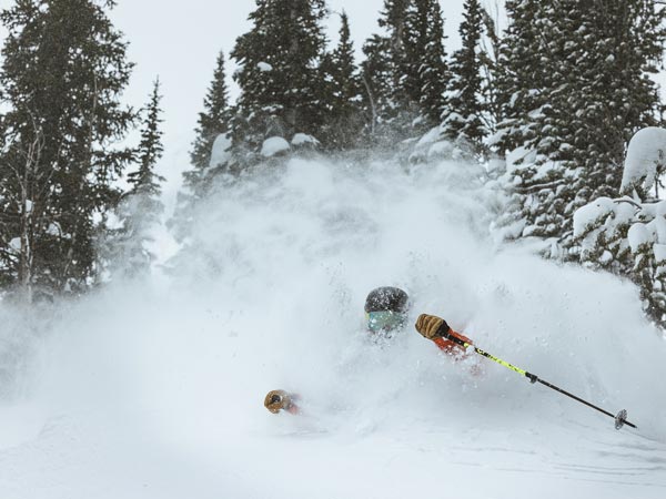 Skier In Deep Powder
